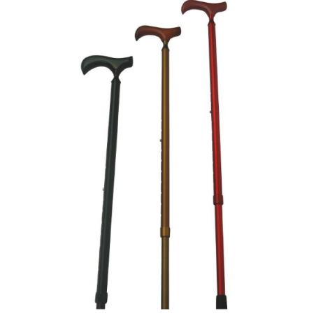 Canne de Marche Swingeasy